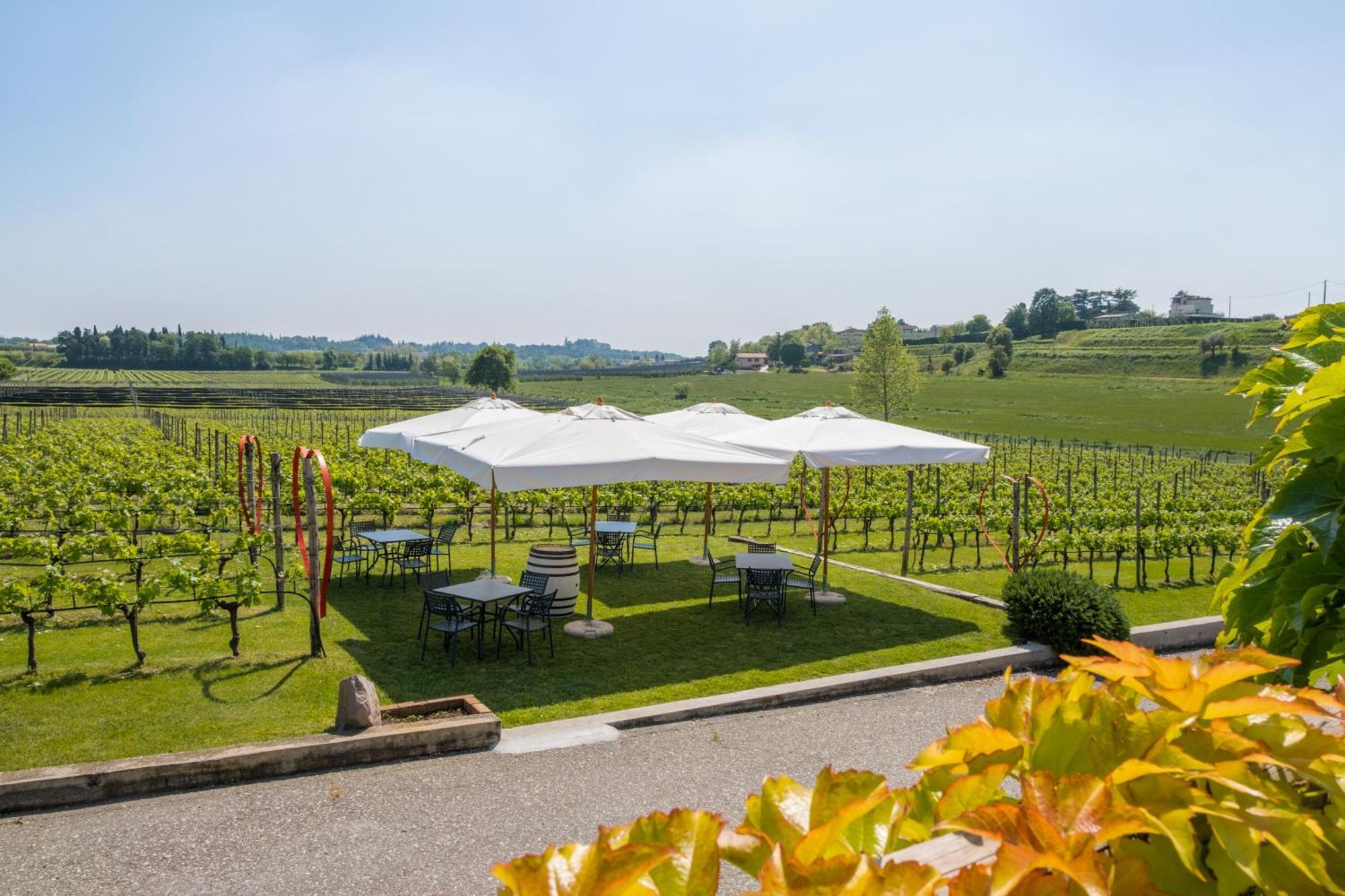 Agriturismo Le Ginestre Λατζίζε Εξωτερικό φωτογραφία